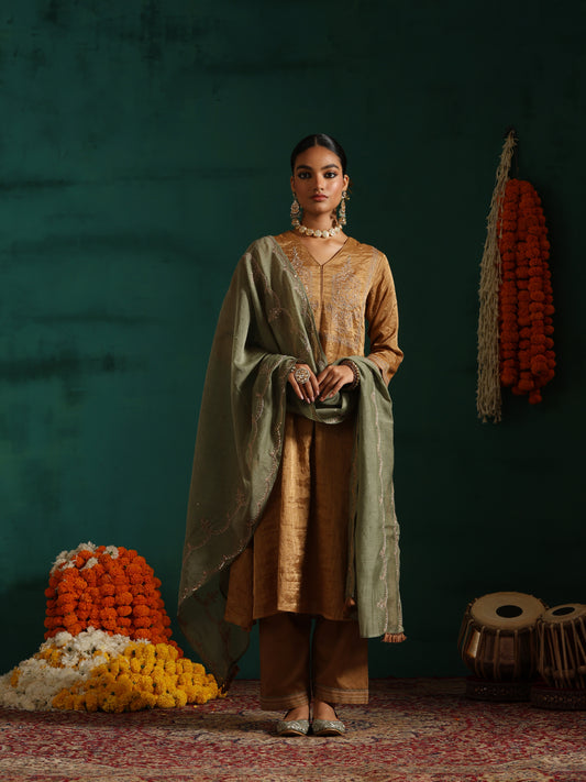 Aashna Suit Set- Brown